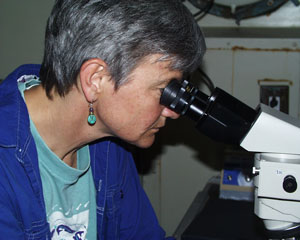 Microbiologist Anna-Louise Reysenbach peers at microbes called thermophiles. Thermophiles love heat, and grow best when the temperature hovers between 113° and 234°F (45° and 113° C).  