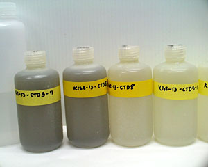 Chemists Charlotte Meredith and Bob Collier were startled to see the dark, particle-rich fluids in their water samples from a CTD cast above the hydrothermal vents. “It means we got very close to the black smoker chimney’s source,” said Collier. “Ordinarily we don’t have this much luck.”