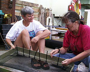 Microbiologist Anna-Louise Reysenbach (left) and Geochemist Susan Humphris build a box to hold water sampling bottles for the new elevator.  