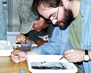 Even the tiniest organisms can teach us about the larger hydrothermal vent environment. After removing a sulfide rock from one of the elevator’s sample boxes, Shana Goffredi and Rob Kunzig search for tiny snails that may have dropped from the rock.