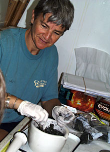 Microbiologist Anna-Louise Reysenbach grinds a chunk of the black smoker chimney. She will extract microbial DNA from the grounds to determine what bacteria live in the chimney.  