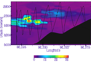 This shows a cross section of a hydrothermal plume above the eastern wall of the rift valley near 24°S on the Central Indian Ridge. The vertical axis represents water depth and the horizontal axis shows the distance across the ridge during a Tow-Yo. The red/yellow area shows the region with the greatest concentration of particles in the water. This is one of the signs of a hydrothermal plume.
