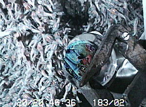 ROV Jason’s manipulator arm holds a Planet before it is placed at a black smoker chimney at the newly discovered hydrothermal vents at 23°52’S on the Central Indian Ridge. The swarming shrimp will keep it company for decades to come.