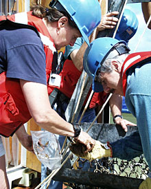 Geologists Susan Humphris and Dan Fornari pull muddy rocks from a dredge today. The samples come from an area north of the newly discovered hydrothermal field.  