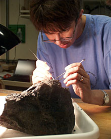 Microbial Biologist Colleen Cavanaugh examines tiny worms living on a volcanic rock collected today from the Edmond field.  