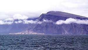 Volcán Ecuador has been present in our sights all day as we have been surveying the bay between Isabela and Fernandina. This volcano is interesting because half of the caldera has collapsed.