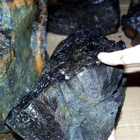 This is one of the pillow lava rocks that came up a the dredge today. You can see the glass on the outside (dark layer). The glass is actually lava that has been cooled incredibly quickly and under great pressure, so it looks smooth and shiny.