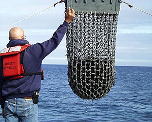  Gene Pillard helps bring in a great dredge - chock full of rocks. 