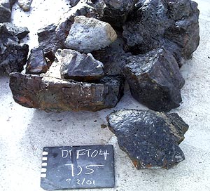 Some of the pillow basalts recovered in Dredge 5 early this morning. The shiny outer crusts are volcanic glass that was chilled instantly when the hot lava came in contact with sea water on the ocean floor. The white marks on the chalk board are 1 centimeter long.