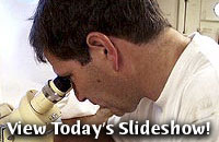 View Today's Slideshow!