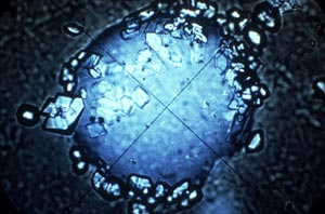 A bubble in volcanic glass viewed through a microscope. The bubble in the center is about 250 microns (about the size of the eye of a needle). The glass appears in the background and tiny crystals that formed from the magma stick to the bubble surface.