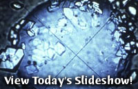 View Today's Slideshow!