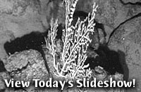 View Today's Slideshow!