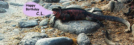 Dan Fornari sends an ‘iguana-gram’ to his wife for her birthday.  