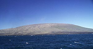  Fernandina Island was only about 1 nautical mile from Revelle as we dredged the shallow submarine slope at about 1000 meters depth.  