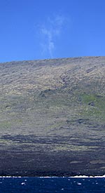 As we past close to Fernandina today we could see small puffs of smoke rising from the top of the volcano. We suspect that this is steam from a vent (or fumarole) within the caldera. The black lava flows near the coast are from the 1995 eruption.