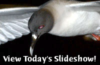 View Today's Slideshow!