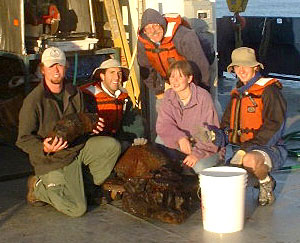 The ‘rupicolous’ Los Primos (the 4 to 8 watch, minus our illustrious leader Denny Geist who took the photo) show off the giant pillow basalt they recovered from dredge 38 at sunrise. Jeremy Haney (left), Joe Licciardi, Gene Pillard, Rhian Waller, and Ben Grosser.