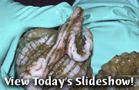 View Today's Slideshow!