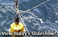 View Today's Slideshow!