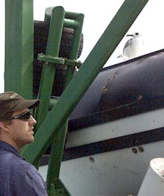  Todd Ericksen watches as a juvenile swallow-tail gull hitches a ride on the MR1 sidescan sonar today. 
