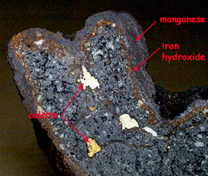 One of the interesting rocks recovered in dredge 66. It has a manganese crust on top of an iron hydroxide layer (which was once the volcanic glass layer that has now weathered). The vesicles inside the rock have been filled in by calcite of various colors (white and yellow). This sample was recovered from the west flank of Floreana Island. It looks much older than many of the other seafloor volcanic rocks we have recovered on this expedition.
