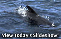 View Today's Slideshow!