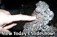 View Today's Slideshow!