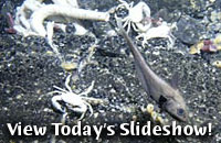 View Today's Slideshow!