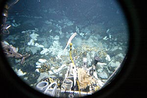A view out Alvin’s viewport today shows crevices brimming with clams at the vent site newly discovered on this cruise.