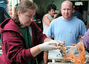 ABE in the water. The "autonomous" part of ABE's name refers to the fact that it is all alone under the sea, not guided by anyone on board. Today ABE left the ship at around 2:00 p.m., and is not scheduled to return until 6:00 a.m. tomorrow.   