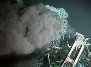 Spider crabs living at the Easter Island hydrothermal vent chimney complex check out clean up efforts by divers in Alvin on Monday.