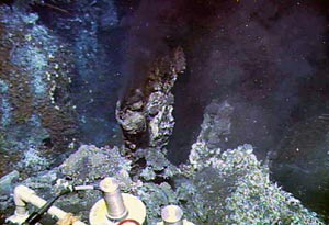 Several days ago scientists diving in Alvin at a hydrothermal structure called Grotto on the Main Endeavour field took fluid samples to analyze the major changes in chemistry. Researchers have collected fluids from Grotto since 1984.