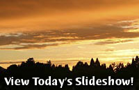 View Today's Slideshow!