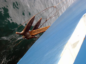 Crew spotted wire debris tangled in the anchor as they began pulling it aboard around 6 a.m.