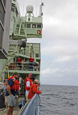 A �man overboard� drill on board Atlantis this morning gave us practice in the event of an emergency. After an alarm sounded, crewmembers came into the main lab yelling, �man overboard! Spread out and search!� Everyone scattered to various decks to scan the surrounding sea until the captain came on the speaker to say that all was clear.