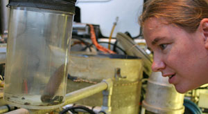 Biologist Kate Buckman gets her first glimpse at an 18-centimeter (5-inch) polychaete worm, collected during Alvin’s dive yesterday. She and other biologists preserved it in a chemical solution for identification on shore.