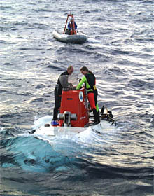 The deep towed camera spotted many of these sea cucumbers (holothurians) during the tow northwest of Fernandina Island. The holothurian’s head is on the left side and you can see the tube feet sticking out from under it. 