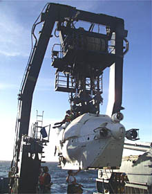 Tortoise from a large, lushly vegetated island. Notice the dome shape of its shell.