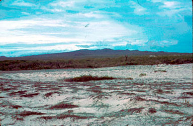 The volcano on San Cristobal Island.