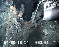 underwater temp probe