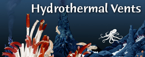 hydrothermal vents