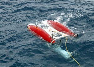 Charlotte Meredith analyzes specific chemicals found in high concentrations in hydrothermal abes. 