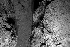 An ophuroid, brittle star, rests on the edge of a fissure in the lava flow. Brittle stars live in sediments and the cracks of rocks. We’ve found many in the rock dredge.