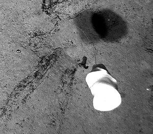 A volcano cartoon by David Farley.