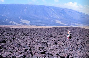  Submarine pillow flows along an eruptive fissure near the crest of the East Pacific Rise at 2600 meters depth. Scale across photo is about 4 meters. Camera across the foreground is one of Alvin’s video cameras. Photo by Dan Fornari, WHOI. 