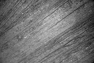   Submarine sheet flow on the East Pacific Rise crest at 2500 m depth. Scale across image is ~3 meters.