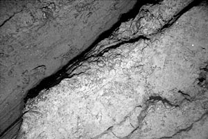 In the center of the lava tongue (at about 0300 hrs on the two track) is a sheet lava flow cracked by a fissure at least 2 m across. Sheet flows form when lava flow very rapidly. Their surfaces become brittle and are easily broken.