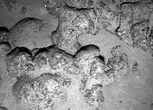 These lava forms are called “plobates”