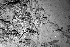 This is a “jumbled” or “hackly” sheet flow -- one of the fastest-moving flows on the seafloor. They form in the same way as ropy sheet flows (Slide 5), except the interior of the flow is moving so fast that it actually breaks up the ropes and folds that form on the surface. When it finally stops moving, it forms a jumbled pile of broken rocks. 
